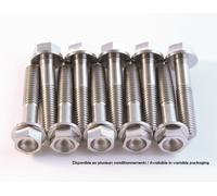 SCAR Kit tornillo de titanio M8x30 por 4