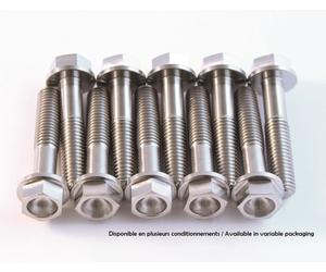 SCAR Kit tornillo de titanio M8x30 por 4