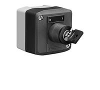 Schell - Interruptor de llave para desinfección térmica 015380099