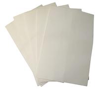 Scheppach Filtro de papel para sistema de extracción HA1000 | accesorios de extracción 75100702 | Juego compuesto de 5 filtros de papel