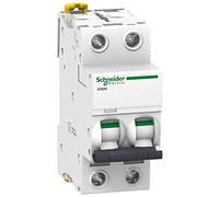 Schneider Electric A9F75225 Interruptor Automático Magnetotérmico Ic60N, 2P, 25A, Curva D