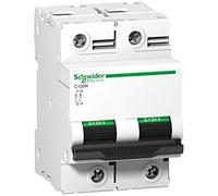 Schneider Electric A9N18363 Interruptor Automático Magnetotérmico C120N, 2P, 125A, curva C