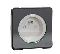Schneider Electric - Base 2P+TTF conexion rapida IP55 Gris