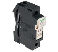 Schneider Electric DF101 Tesys Seccionador Portafusible 1P 32A, Fusible 10 X 38 mm