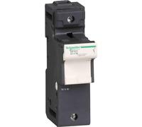 Schneider Electric DF221 Seccionador Portafusible 1P 125A, Fusible 22 X 58 mm