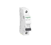 Schneider Electric Disyuntor Acti9 C120H, K60N, A9K01116