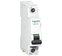 Schneider Electric Interruptor automático - A9N61504