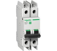Schneider Electric Interruptor Automático - M9F42206