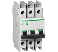 Schneider Electric Interruptor Automático - M9F42310