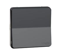 Schneider Electric MUR35020 Cruzamiento IP55, Gris
