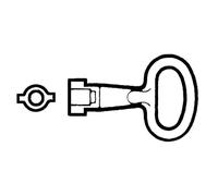 Schneider Electric NSYLDB5 Llave Metálica para Inserto de Doble Barra, 5 mm