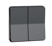 Schneider Electric - Pulsador de persianas IP55 Gris