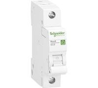 Schneider Electric R9F23106 Resi9 - Disyuntor (1 pin)
