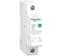 Schneider Electric Disyuntor Resi9 de 1 polo, 20 A, característica B, 6 kA, número de artículo R9F23120, 1 pieza