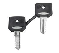 Schneider Electric Ronis 455 Juego De Llaves Con Botín Protector - ZBG455P