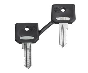 Schneider Electric Ronis 455 Juego De Llaves Con Botín Protector - ZBG455P