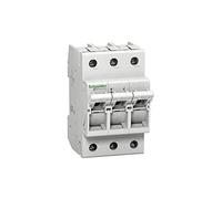 Schneider Electric - Schneider seccionadores d01, 3 polos, 16a mgn01316, ratin