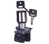 SCHNEIDER XB4BG03 Interruptor