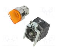 Schneider Electric XB4BK125B5 Selector Luminoso, Diámetro 22, Mango de 2 Posiciones, 24 V, 1 Na + 1 Nc, Amarillo