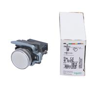 Schneider Electric XB4BVG1 New NFP