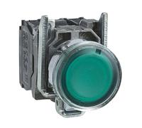 Schneider Electric Pulsador iluminado XB4BW33M5 diámetro 22 retorno resorte 240V 1NA+1NC verde