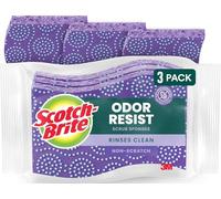 Scotch-Brite Scrub Dots - Esponja antiarañazos, 3 esponjas para Fregar