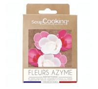 ScrapCooking - décos azymes - Juego de 6 Rosas