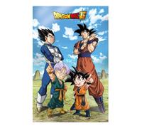 SD Toys - Póster 3D Dragon Ball Super Battle of Gods SDTDRB25641 de PVC de alta calidad, efecto lenticular sin gafas, formato 58 x 38 cm, ideal para fans y coleccionistas de anime