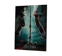 SD TOYS Poster Harry Potter y Voldemort, Vidrio, Multicolor, 41x31x3 cm