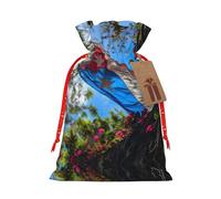 SDEGTHO Bandera de Puerto Rico 1 bolsa de material duradero de 8.3 x 11.8 pulgadas con cordón para regalo elegante de Halloween