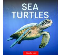 Sea Turtles Calendar 2027: Ocean Wildlife Photography