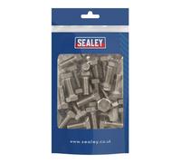 Sealey Acero Inoxidable Hex Cabeza Set Tornillo M10 X 25 A2, din 933 Pack De 25