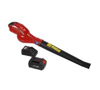 Sealey Soplador de Hojas sin Cables 20V SV20 Serie Con 4Ah Batería Y Cargador