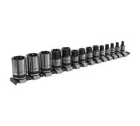 Sealey Torx Star Enchufe Set 14pc 0.6cm 1cm & 1.3cmSq Drive E4-E24 Negro AK618B