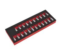 Sealey Trx-Estrella / Hex / Spline Llave de Vaso Juego 22pc 1cmSq Drive AK6243