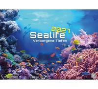 GP-Fever Calendario Sealife - verborgene Tiefen 2027 - motivos submarinos - DIN A2 (60x42 cm)