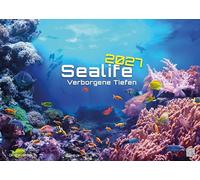GP-Fever Calendario Sealife - verborgene Tiefen - 2027, con motivos submarinos, DIN A3 (42x30 cm)