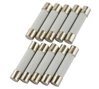 SeKi - Lote de 10 fusibles cerámicos (1,6 A, 6 x 30 mm, lento)