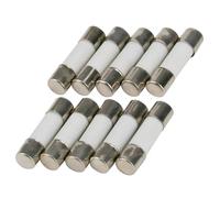 SeKi - Lote de 10 fusibles cerámicos (6,3 A, 5 x 20 mm, lentos, 250 V)