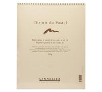 Sennelier gris Pastel papel almohadilla 40x32cm - 25 hojas - 130gsm grano papel de fieltro con interpolado