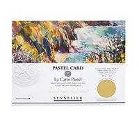 Sennelier La Carte Pastel Card Pochette, 15.7" x 11", Monocromático Nápoles Amarillo