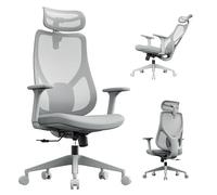 SENSE7 Silla de Oficina Ergonómica Gris 150kg con Soporte Lumbar de Malla | Reposabrazos, Ruedas Giratorias, Para Despacho y Estudio, Asiento Juvenil, Para Ordenador, Gaming, para Escritorio