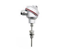 Sensor de temperatura resistivo térmico PT100 termopar Hirschmann 4-20ma transmisor inserto C(Output PT100 armored -200-500C)