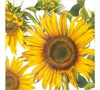 Servilletas de girasol I The Last Sun Lunch Tamaño 40 Ct I Servilletas de otoño para decoupage I Papel de Scrapbook I Suministros de fiesta de cumpleaños (almuerzo)