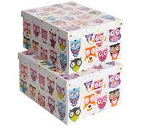 SET 2 Cajas organizadoras de almacenamiento ropa, almacenaje decorativas en carton, 39x50x24cm, para armario, baul, bolsas, ropa, juguetes, jardineria, con tapa, BUHITOS