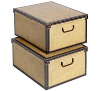 SET 2 Cajas organizadoras de almacenamiento ropa, almacenaje decorativas en carton, 40x50x25cm, para armario, baul, bolsas, ropa, juguetes, jardineria, con tapa, MAPA