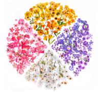 Set de 160 Pegatinas Decorativas Transparentes de Flores y Plantas - Stickers Creativos para Collage, Scrapbooking, Cuadernos, Botellas de Cristal y Manualidades - Sello de Copos con Gran Capacidad