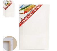 Set de 6 Lienzos 100% algodón 280g/m², tamaños a elegir, Lienzos Para Todo Tipo de Pintura Acrílica Óleo Acuarela (20 x 30 cm)