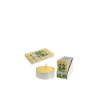Set de Velas Amarillo Citronela 15 Unidades