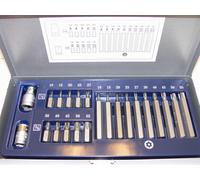 Set Puntas Torx Pisón T10-T55, Mango 10mm, Largo/Corto ,con Adaptador, Torxbit